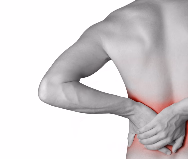 Imagen relacionada con ¿Te han diagnosticado una hernia discal? Consulta a tu fisioterapeuta